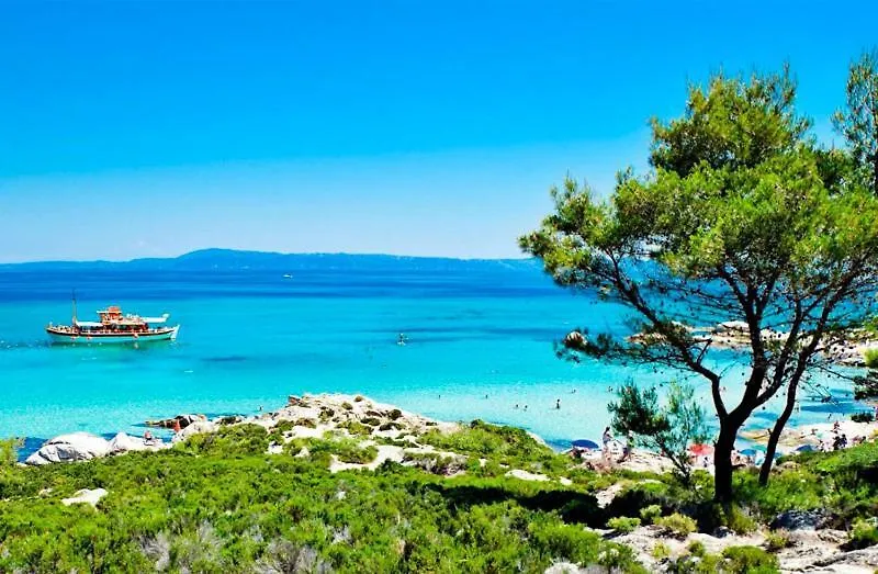 Daire Homegreece Paliouri